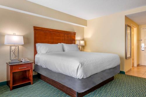 holiday inn resort orlando lake buena vista by ihg