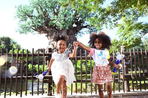 holiday inn resort orlando lake buena vista by ihg