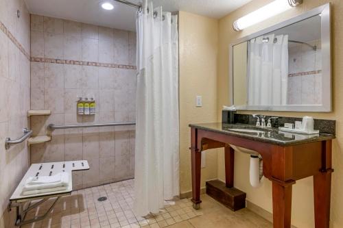 holiday inn resort orlando lake buena vista by ihg