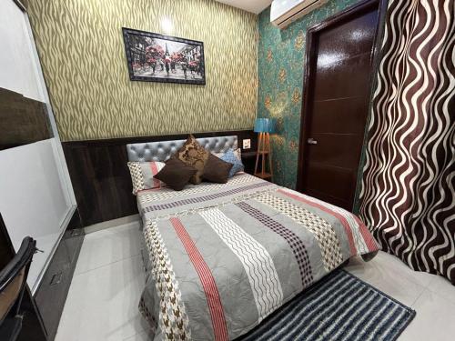 entire 3bhk luxury flat in zirakpur panchkula chandigarh mohali punjab india