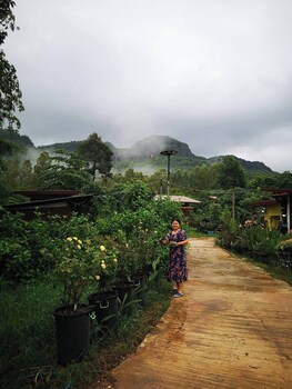 phulunngkhawiew homestay