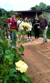 phulunngkhawiew homestay