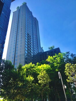 stylish urban oasis