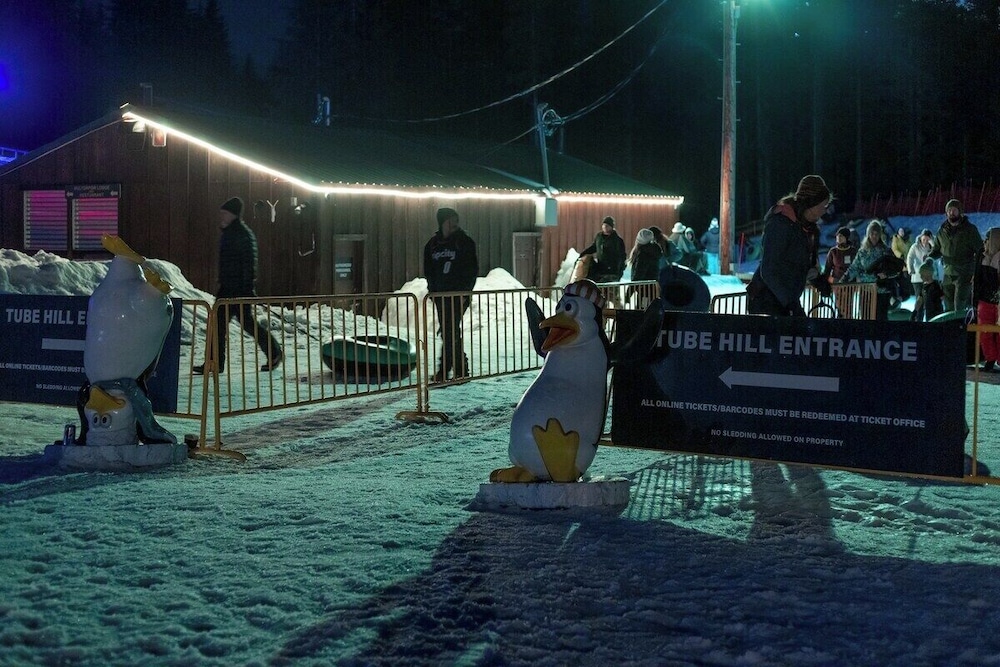 mt air motel