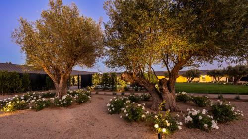 hotel bayit