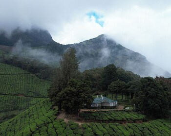 devikolam