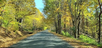 hamden