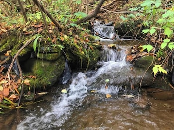 hamden