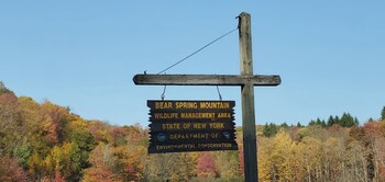 hamden