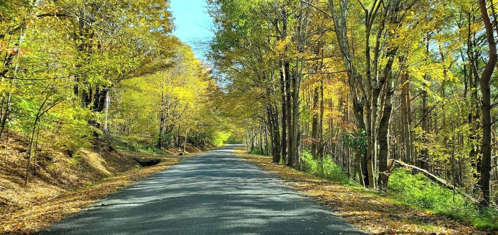 hamden