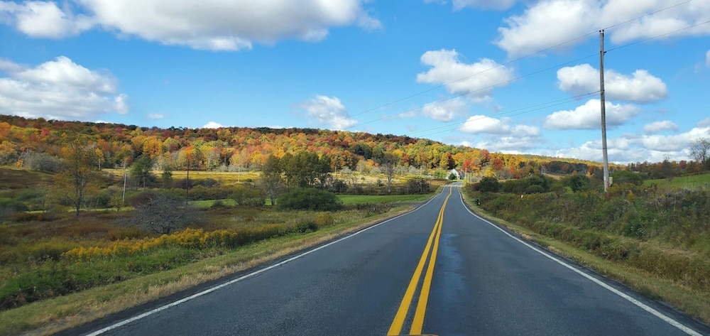 hamden