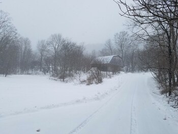 hamden