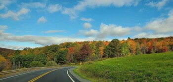 hamden