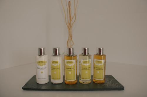 loch ness gate house apartments