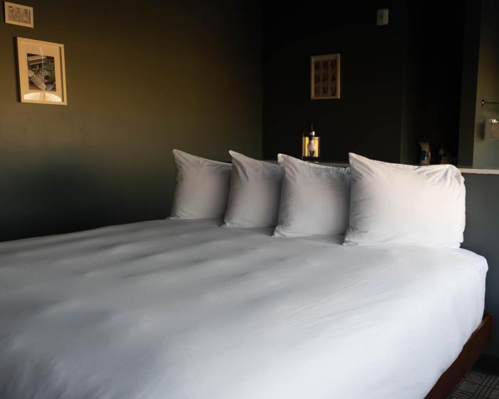 hotel alexander