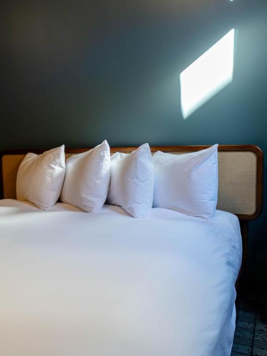 hotel alexander