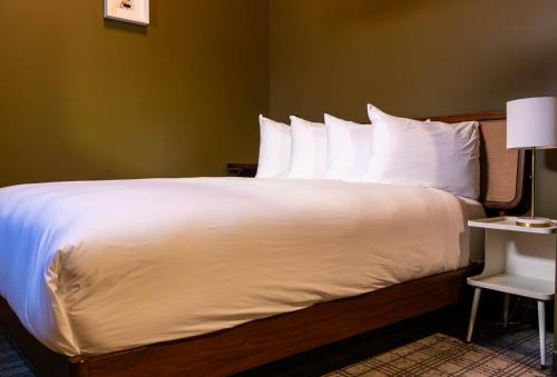 hotel alexander