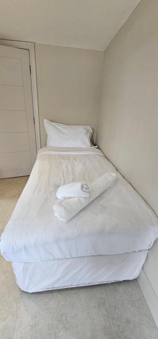 msm arena hotel