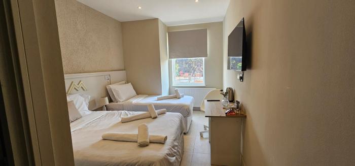 msm arena hotel