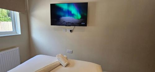msm arena hotel