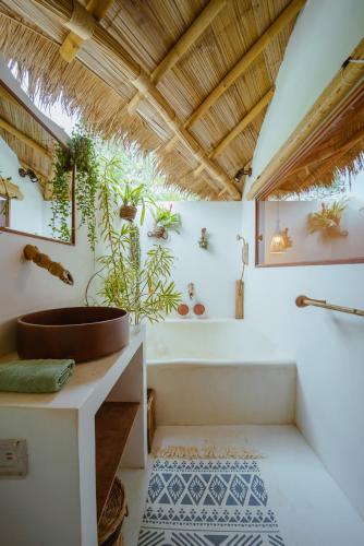 aloe ecological boutique villas
