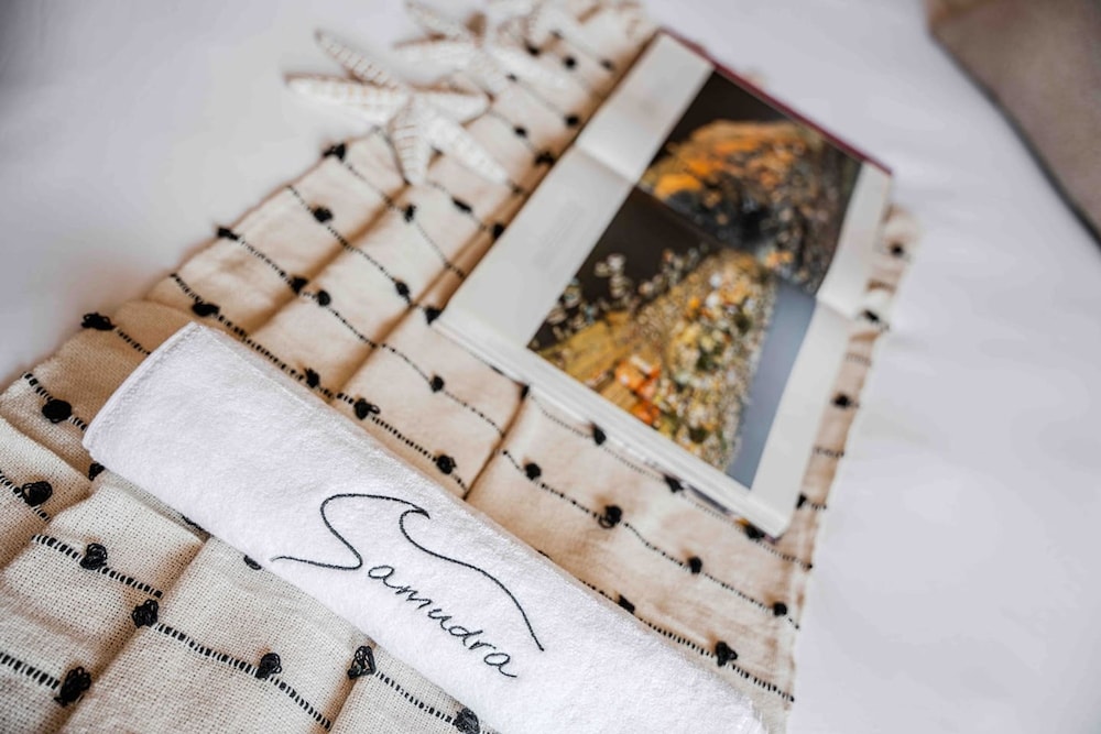 villa samurai japanese villa w pool north goa