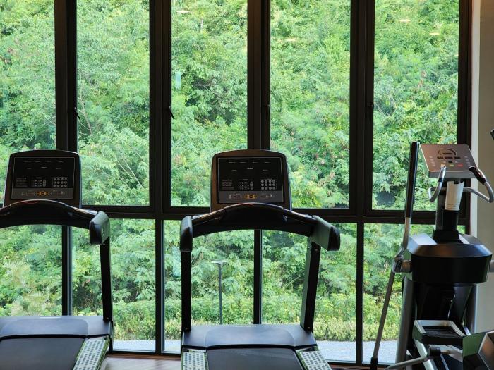 oabkod khaoyai at forest khaoyai