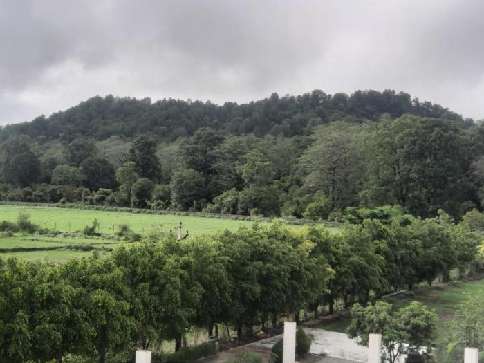 corbett the regnum resort