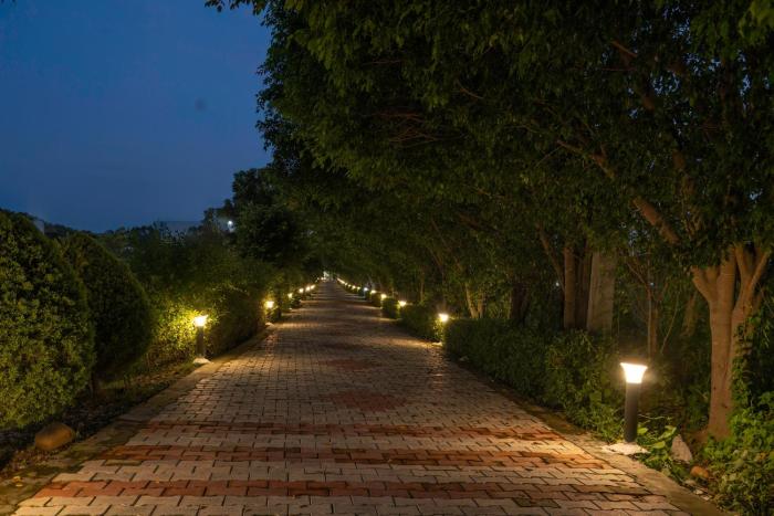corbett the regnum resort