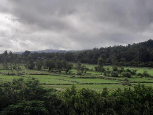 corbett the regnum resort