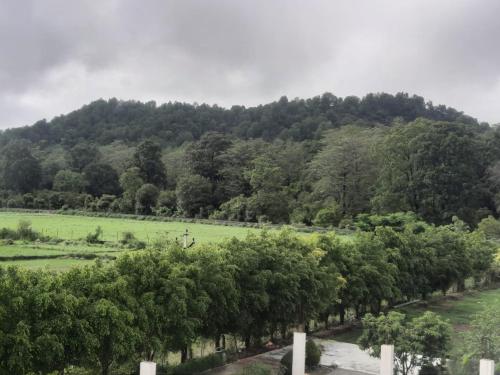 corbett the regnum resort