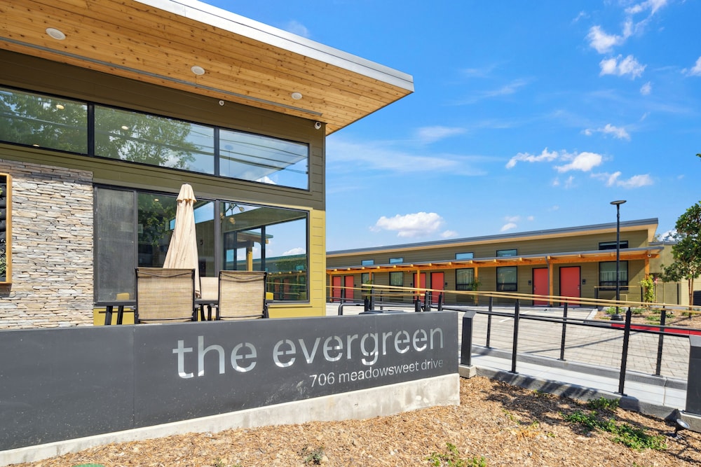 the evergreen