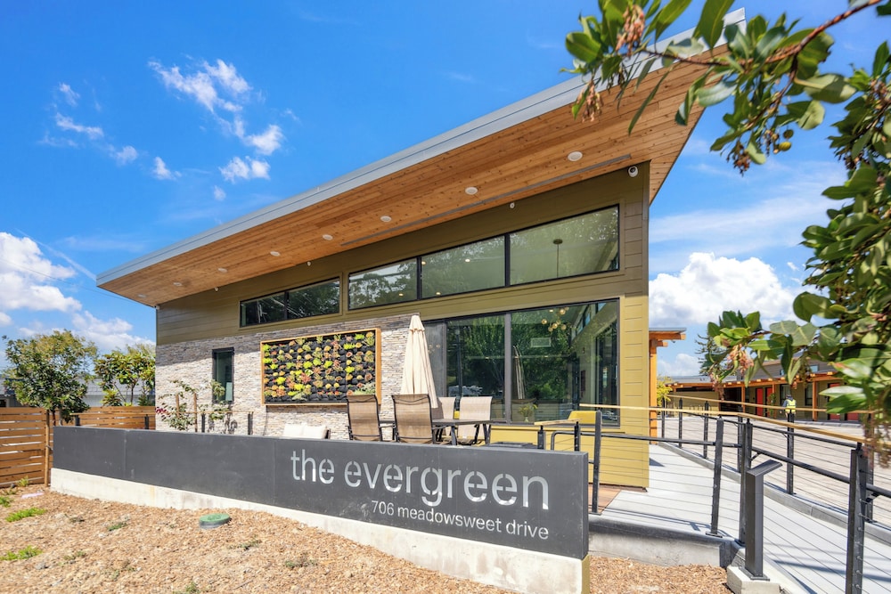 the evergreen