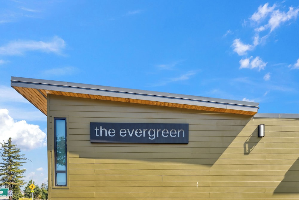 the evergreen