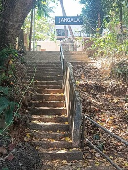 jangala resort