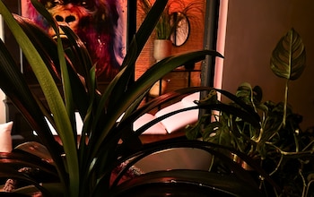 aka love room