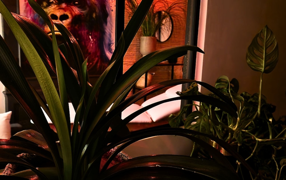 aka love room