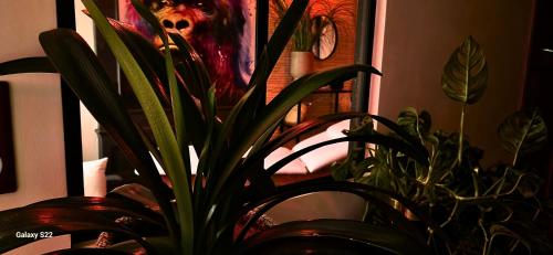 aka love room
