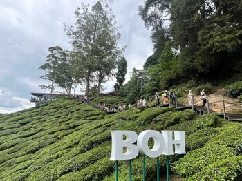the retreat hotel at cameron highlands