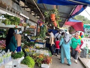 the retreat hotel at cameron highlands