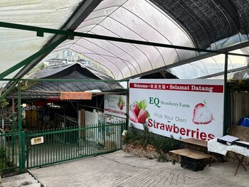 the retreat hotel at cameron highlands