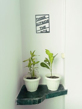 dormtales varanasi homely hostel