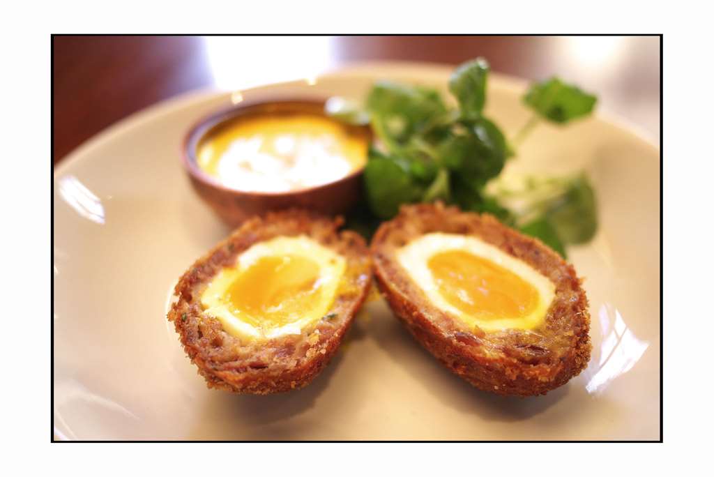 the mandeville hotel