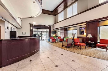 comfort suites