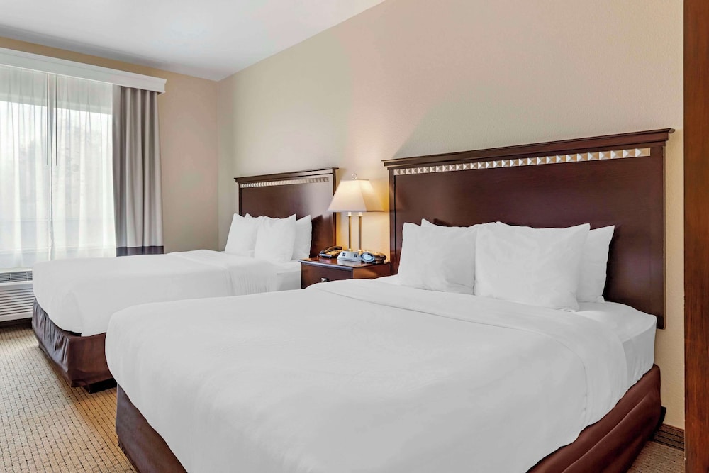 comfort suites