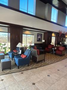 comfort suites