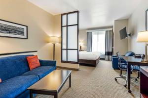 comfort suites