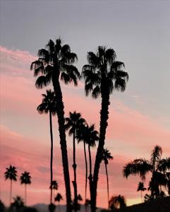 palm springs