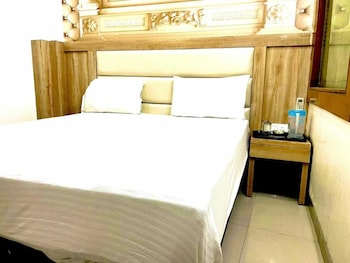 del fox hotel new delhi just a minute away from new delhi railway station and connaught place
