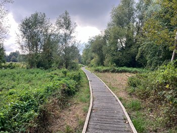 7a sir alf ramsey way